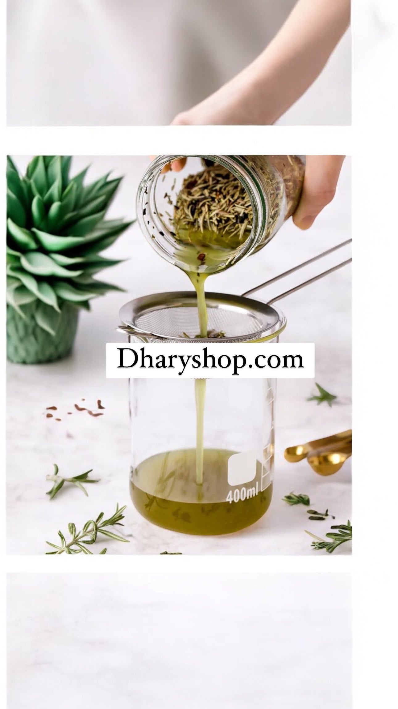 Organic oil for hair loss and hair growth